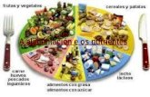 Alimentación e nutrientes