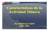 Características de la Actividad Minera