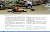 Revista Pesca & Medio Ambiente