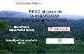REDD Panama 2011 - Catherine Potvin / REDD negociación cambio climático