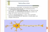 Neurotransmisores, Neuroreceptores y Sinapsis