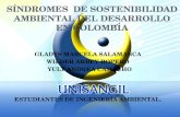 SINDROME DE SOSTENIBILIDAD EN COLOMBIA