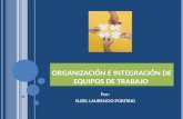Organización e integración de equipos de trabajo