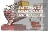 Sistema de ecuaciones lineales 2 x2 trabajo 2