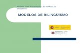 Anexo xviii presentacion modelos bilingüismo
