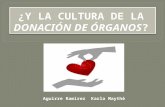 Diapositiva de donacion de organos (1)