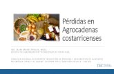 Pérdidas en Agrocadenas costarricenses (Laura Brenes Peralta)