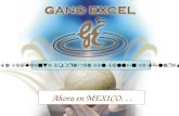 Presentacion Gano Excel Para Mexico