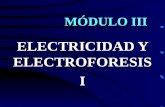 Electricidad Electroforesis I
