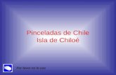 Chile  Isla De  Chiloe