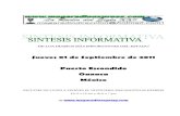 Sintesis informativa 0109 2011