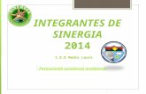 Integrantes de sinergia 2014-