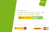 Proyecto internacionalizacion de pymes en España 2011