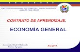 Economía general. 2013