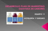 Desarrollo plan de marketing guayusa de sabores
