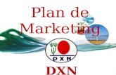 Plan Marketing DXN