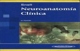 Snell neuroanatomia clinica 6ª edicion Libro descargar free