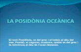 Els fons marí: la posidònia oceànica