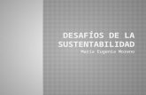 Desafios de la Sustentabilidad