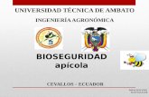 Bioseguridad Apícola