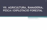 7. agricultura, ramaderia, pesca i explotació forestal