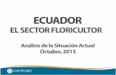 Floricultura Ecuatoriana: Situación actual 2013