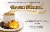 GANO EXCEL COLOMBIA, ganoderma lucidum, ganocafe 3in1, cafe saludable, gano excel,