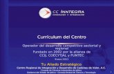 Curriculum CC Inntegra - Enero 2011