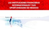 Instituciones financieras internacionales y sus oportunidades de negocio