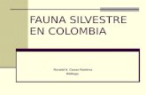 Fauna Silvestre en Colombia