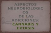 Neurobiologia de las adicciones Cannabis y extasis