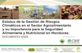 Estatus de la Gestión de Riesgos Climáticos en el Sector Agroalimentario y su importancia para la Seguridad Alimentaria y Nutricional en Honduras