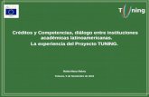 Créditos y Competencias, diálogo entre instituciones académicas latinoamericanas.  La experiencia del Proyecto TUNING