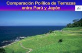 Comparación Política de Terrazas entre Perú y Japón