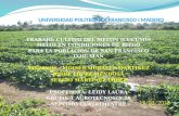 cultivo de melon en el itsmo de tehuantepec buena oportunidad de desarrollo economico