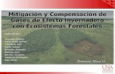 Mesa2 Mitigacion Y Compensacion De Gei Con Ecosistemas Forestales
