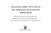 Encuesta TIC Empresas Canarias 2009/10