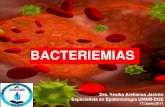 Bacteriemias curso laboratorio