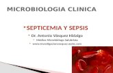 Septicemia y sepsis