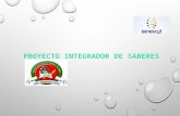 Proyecto Integrador de Saberes "Tecnologia Electrica" Parque