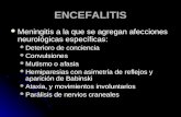 E N C E F A L I T I S Meningitis[2]