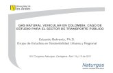 GAS NATURAL VEHICULAR EN COLOMBIA: CASO DE ESTUDIO PARA EL TRANSPORTE PÚBLICO
