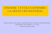 Creacionisme i fixisme (Darwin)