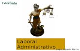 Derecho Administrativo Laboral  - Material especializacion U externado