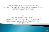 PROYECTO PARA EL MEJORAMIENTO Y REMODELACIÓN DE  LA CANCHA DE MICROFÚTBOL  BARRIO SAN JOSE SPRING