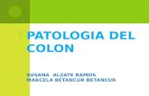 Patologia Del  Colon