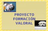 Proyecto formación valoral evidencias 2012