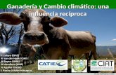 Zelaya C - Ganaderia y cambio climatico 20120830
