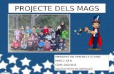 Projecte mags