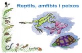 Els reptils, amfibis i peixos